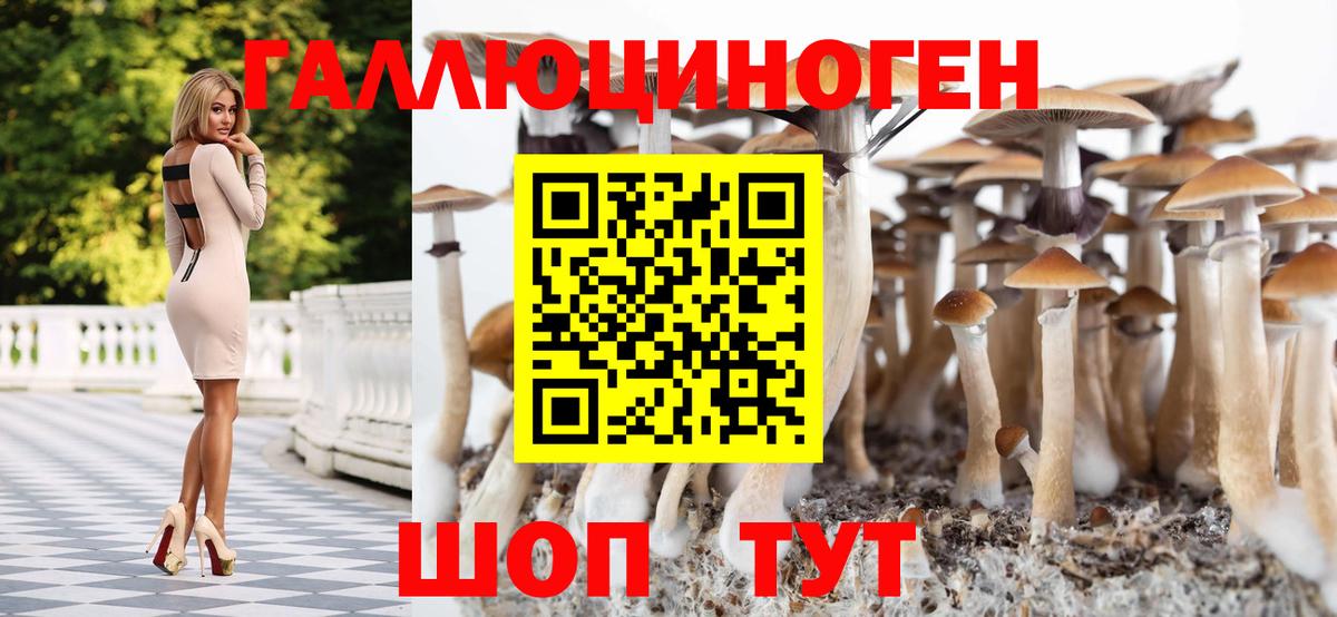 Бор  Галлюциногенные грибы Psilocybine cubensis  Псилоцибиновые грибы GOLDEN TEACHER  Вход с VPN 