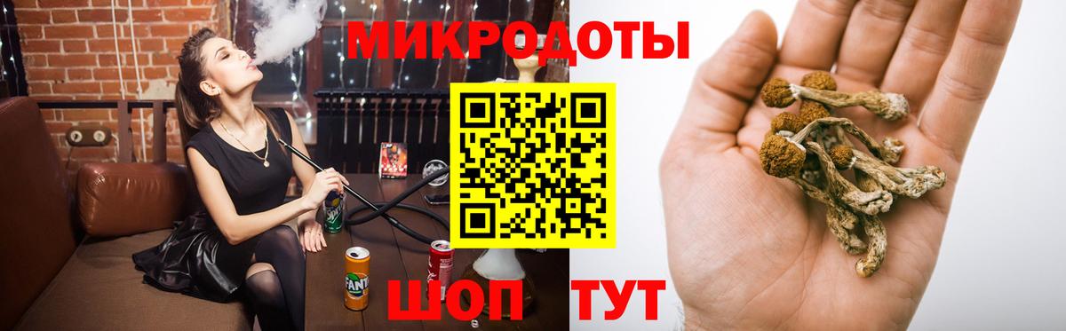 Псилоцибиновые грибы GOLDEN TEACHER Бор
